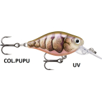 RAPALA   X-LIGHT CRANK MID RUNNER